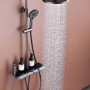 Matte Black Rain Shower System